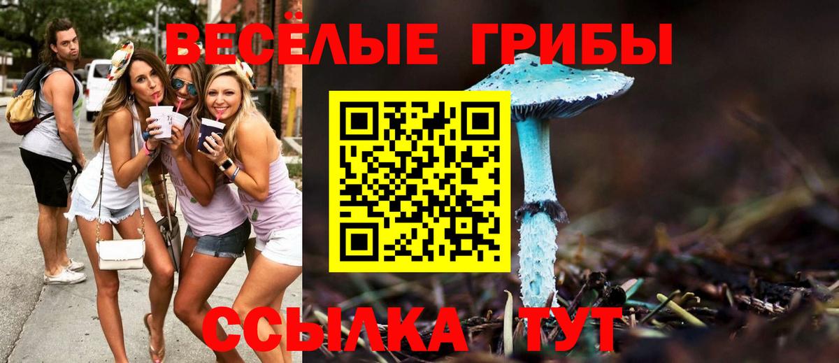 Галлюциногенные грибы прущие грибы  Вход с VPN  Ишим 