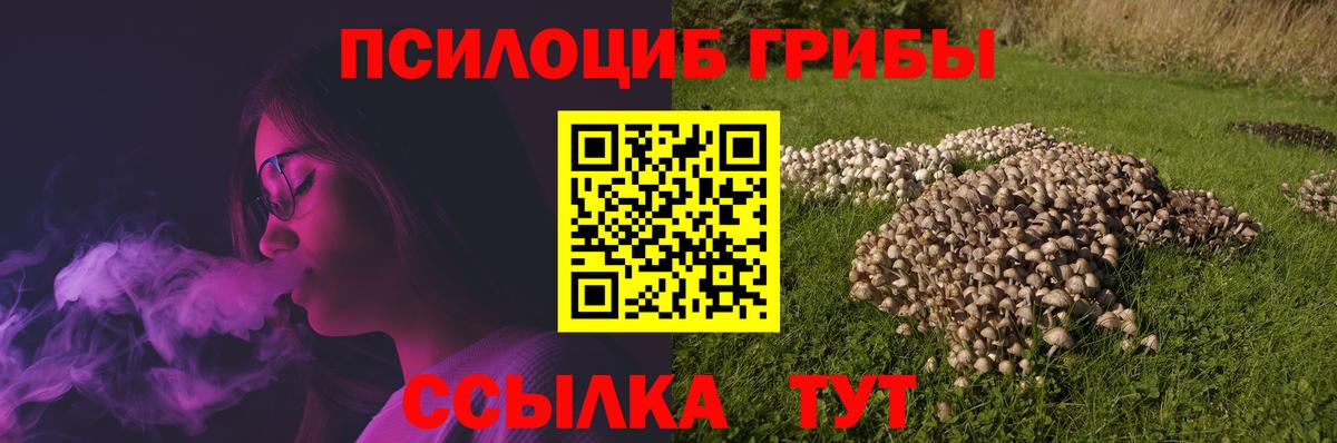 Псилоцибиновые грибы MAGIC MUSHROOMS Ишим